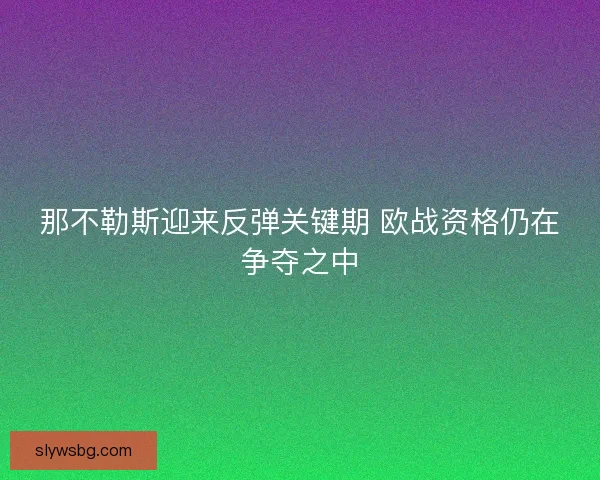 那不勒斯迎来反弹关键期 欧战资格仍在争夺之中 那不勒斯迎来反弹关键期 欧战资格仍在争夺之中