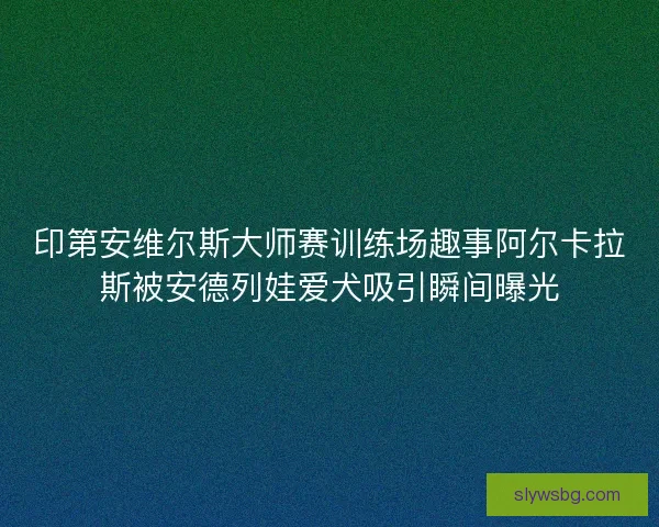 印第安维尔斯大师赛训练场趣事阿尔卡拉斯被安德列娃爱犬吸引瞬间曝光 印第安维尔斯大师赛训练场趣事阿尔卡拉斯被安德列娃爱犬吸引瞬间曝光